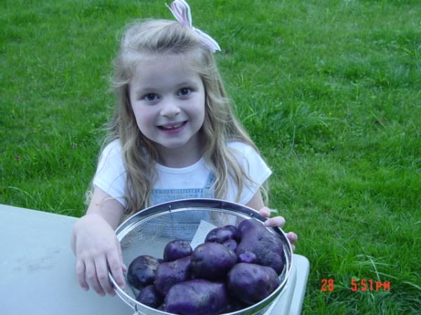 Delaney with purple potatoes - Seattle 2006