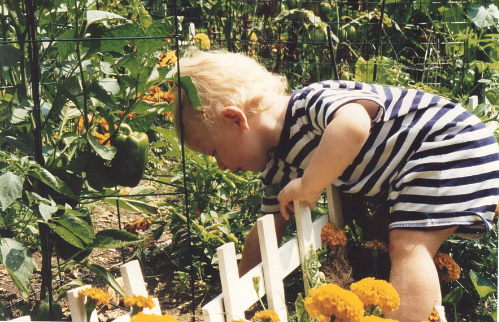 More of Grayson gardening at 1 yo