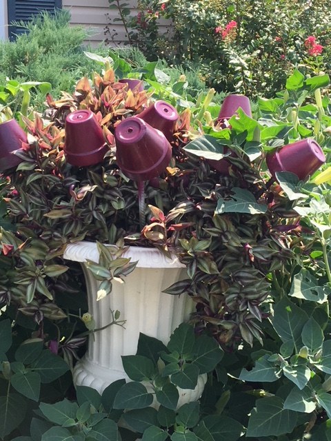 painted terra cotta pots