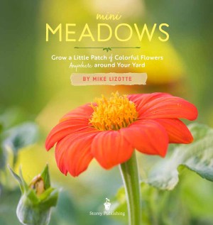 mini meadows